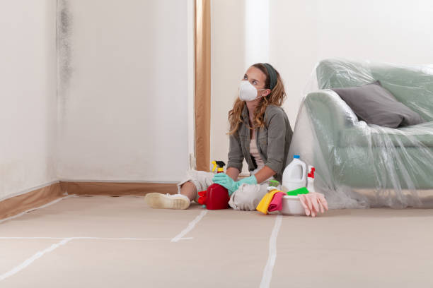 Reliable Mold Remediation contractor in Windermere, FL by WQB Mold Removal